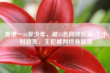 香港一16岁少年，被15名同伴折磨3个小时致死，主犯被判终身监禁