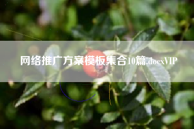 网络推广方案模板10篇.docxVIP
