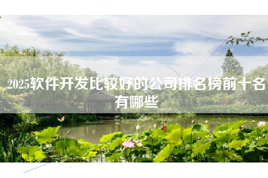 2025软件开发比较好的公司排名榜前十名有哪些