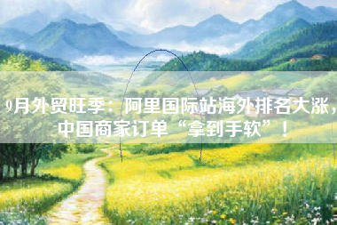 9月外贸旺季：阿里国际站海外排名大涨，中国商家订单“拿到手软”！