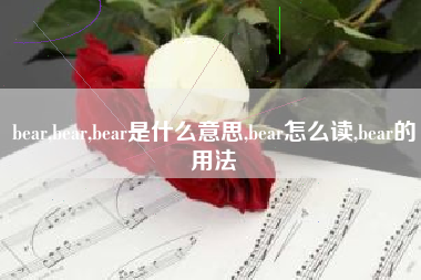 bear,bear,bear是什么意思,bear怎么读,bear的用法
