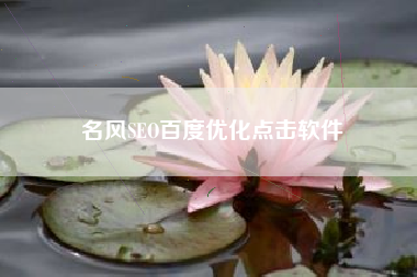 名风SEO百度优化点击软件