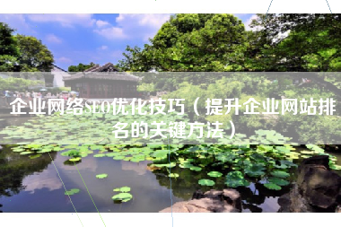 企业网络SEO优化技巧（提升企业网站排名的关键方法）