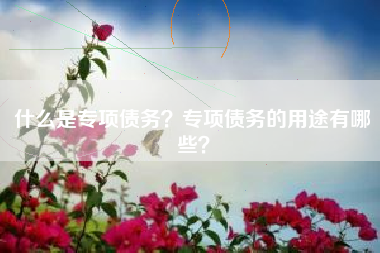 什么是专项债务？专项债务的用途有哪些？
