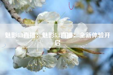 魅影5.3直播：魅影5.3直播：全新体验开启