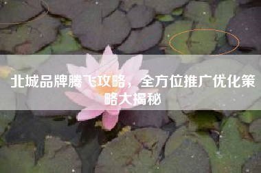 北城品牌腾飞攻略，全方位推广优化策略大揭秘