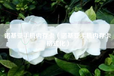 诺基亚手机内存卡（诺基亚手机内存卡格式化）