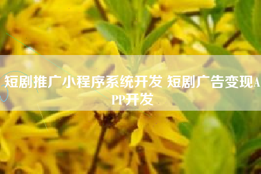 短剧推广小程序系统开发 短剧广告变现APP开发 短剧推广小程序系统开发 短剧广告变现APP开发
