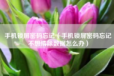 手机锁屏密码忘记（手机锁屏密码忘记不想清除数据怎么办）