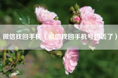 微信找回手机（微信找回手机号码丢了）