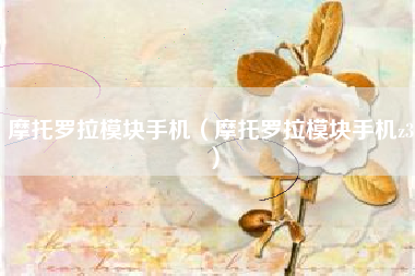 摩托罗拉模块手机（摩托罗拉模块手机z3）