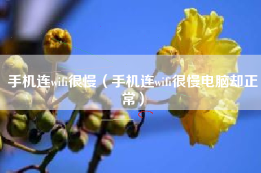 手机连wifi很慢（手机连wifi很慢电脑却正常）