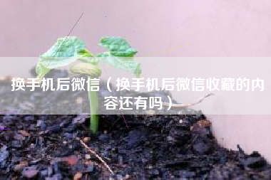换手机后微信（换手机后微信收藏的内容还有吗）