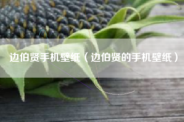 边伯贤手机壁纸（边伯贤的手机壁纸）