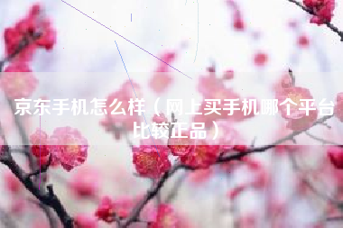 京东手机怎么样（网上买手机哪个平台比较正品）