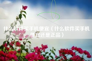 什么软件买手机便宜（什么软件买手机便宜还是正品）