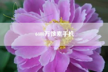 6400万像素手机