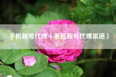 手机靓号代理（手机靓号代理渠道）