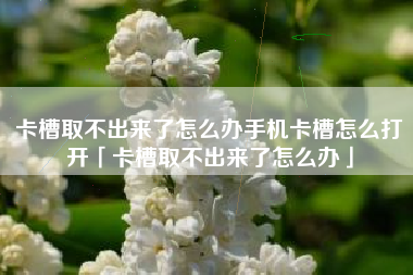 卡槽取不出来了怎么办手机卡槽怎么打开「卡槽取不出来了怎么办」 卡槽取不出来了怎么办手机卡槽怎么打开「卡槽取不出来了怎么办」