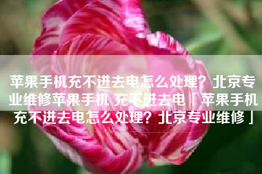 苹果手机充不进去电怎么处理？北京专业维修苹果手机 充不进去电「苹果手机充不进去电怎么处理？北京专业维修」