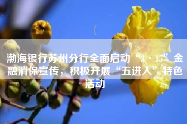 渤海银行苏州分行全面启动“3·15”金融消保宣传，积极开展“五进入”特色活动